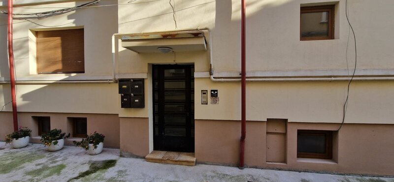 Calea Calarasilor, Pache Protopopescu,