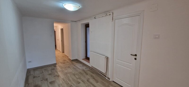 Calea Calarasilor, Pache Protopopescu,