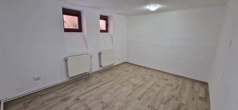 Calea Calarasilor, Pache Protopopescu,