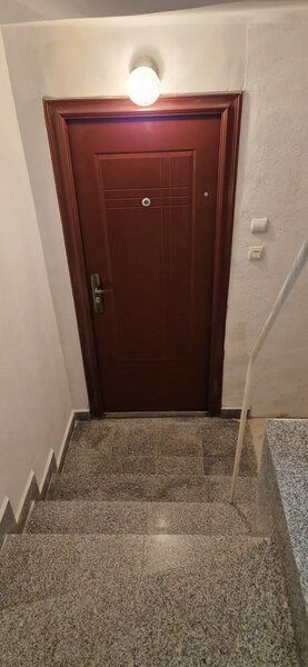 Calea Calarasilor, Pache Protopopescu,